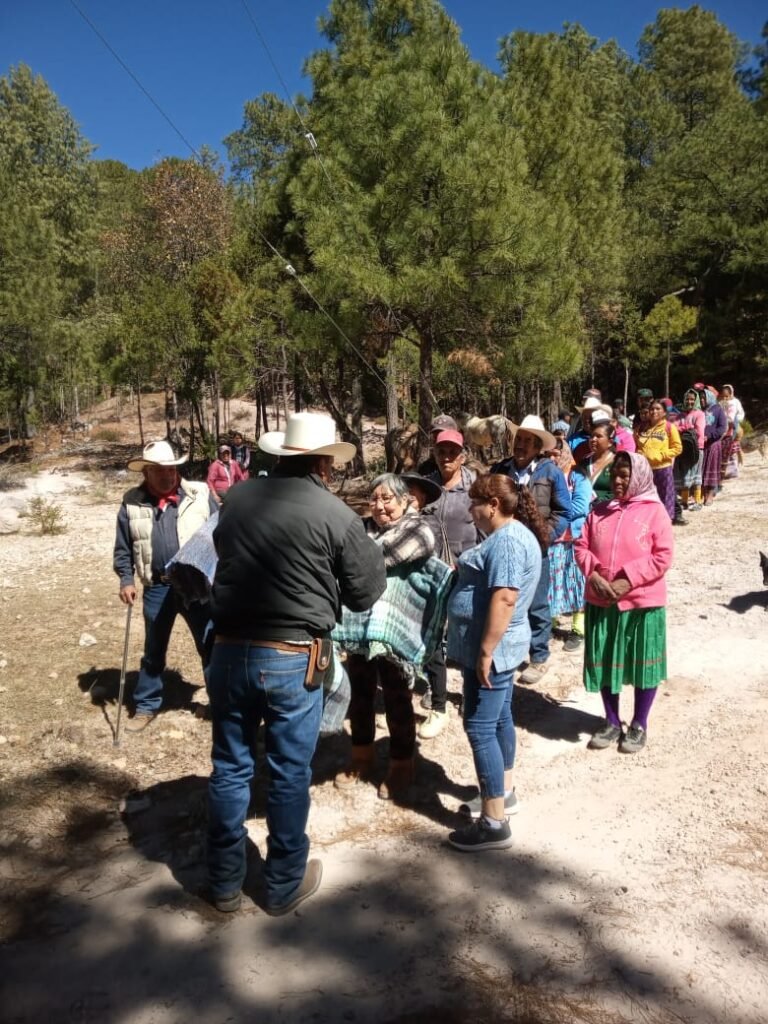 WhatsApp Image 2025-03-05 at 10.05.01 PM