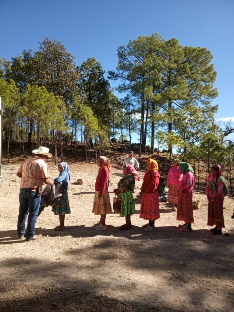 WhatsApp Image 2025-03-05 at 10.05.06 PM