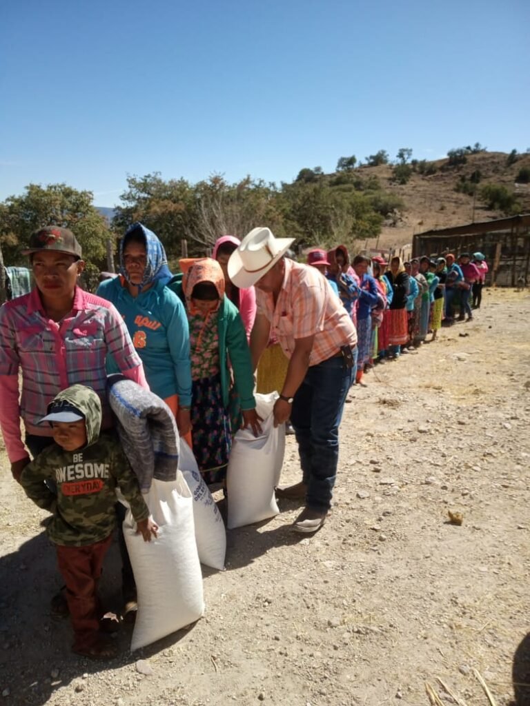 WhatsApp Image 2025-03-05 at 10.05.14 PM