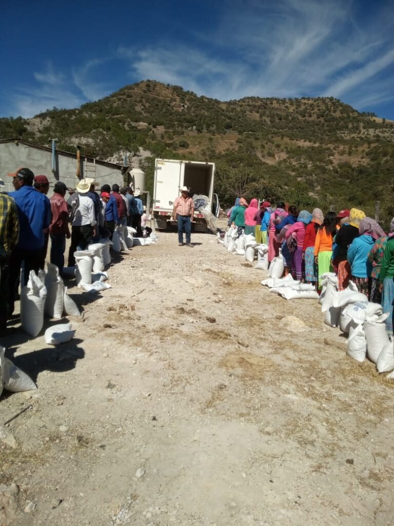 WhatsApp Image 2025-03-05 at 10.05.17 PM