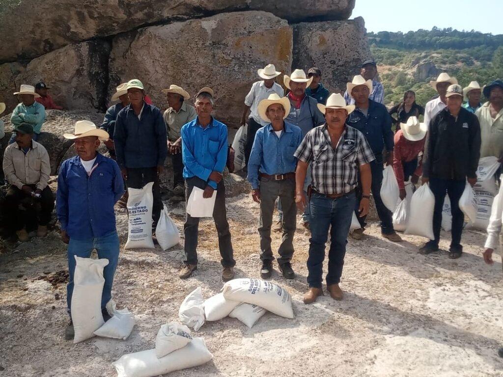 WhatsApp Image 2025-03-06 at 8.40.35 AM