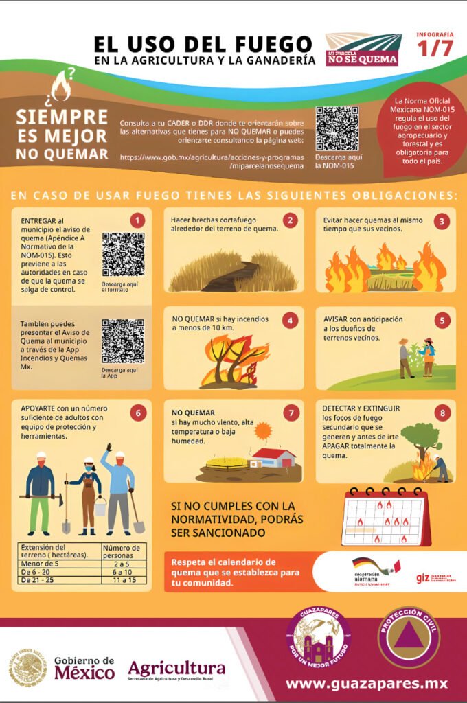 WhatsApp Image 2025-05-14 at 10.40.01 AM