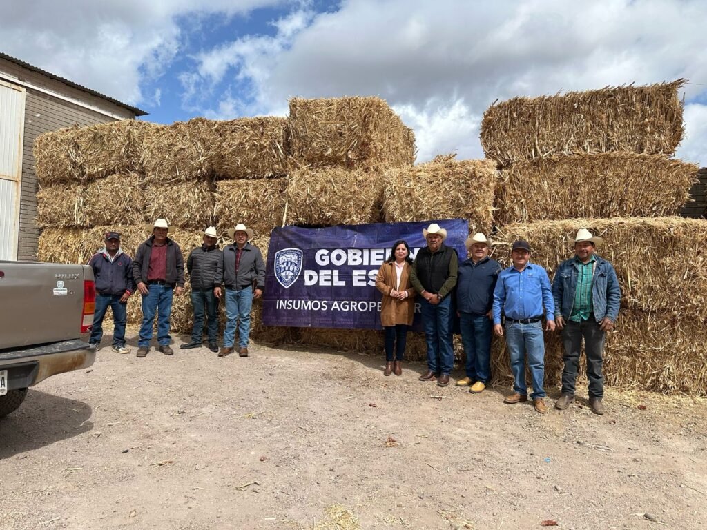 WhatsApp Image 2025-05-14 at 11.56.56 AM