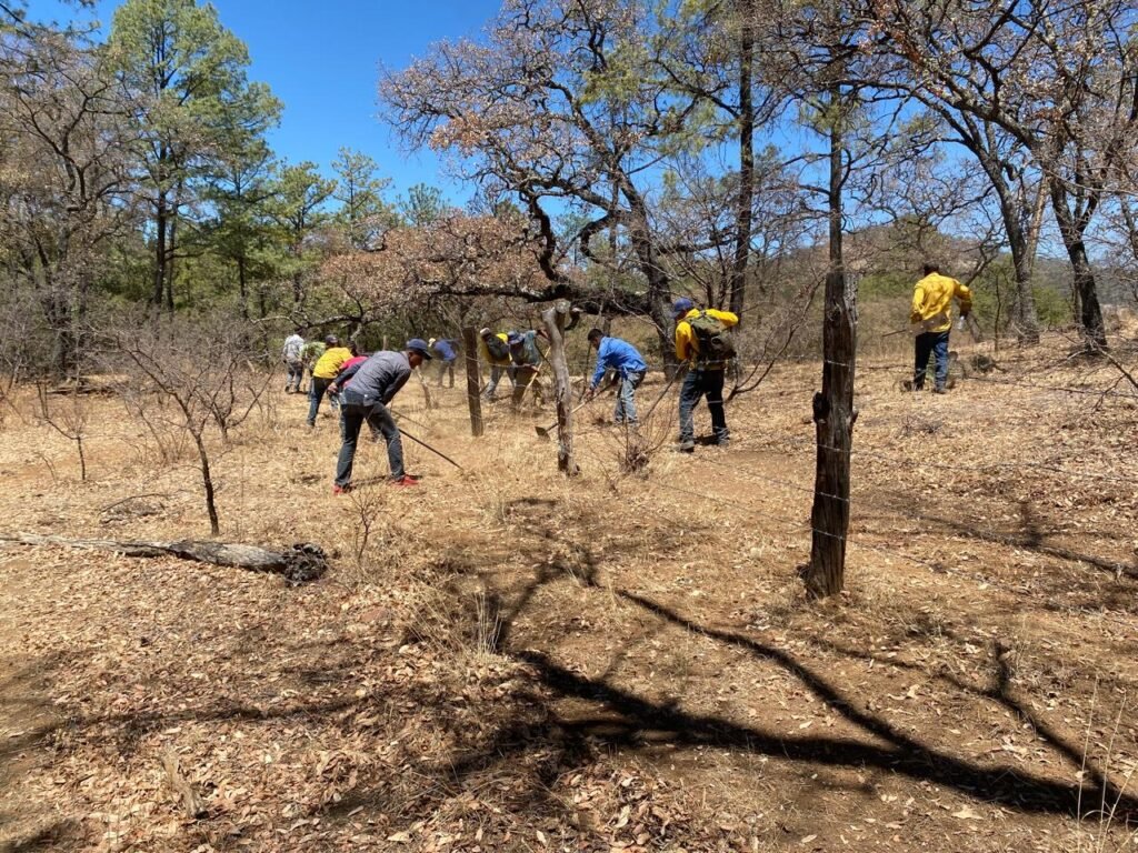 WhatsApp Image 2025-05-19 at 9.23.55 AM (1)