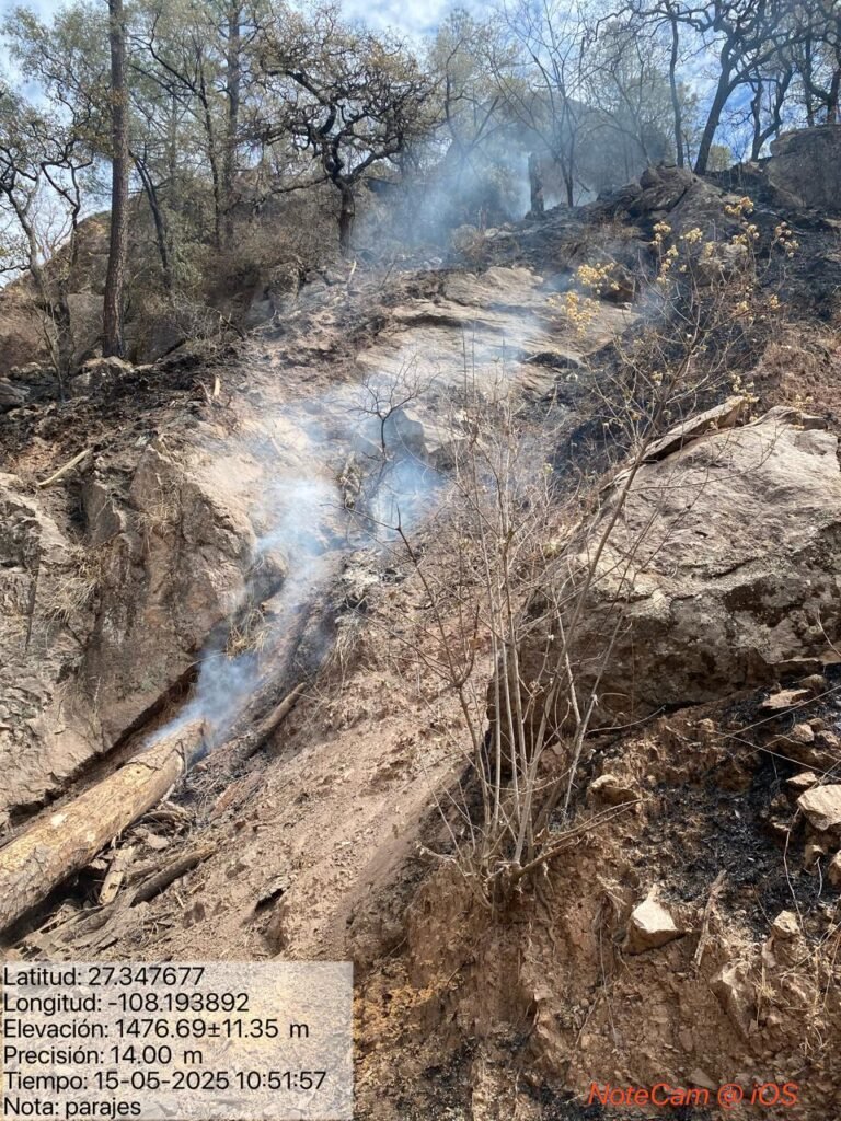 WhatsApp Image 2025-05-19 at 9.23.55 AM (10)