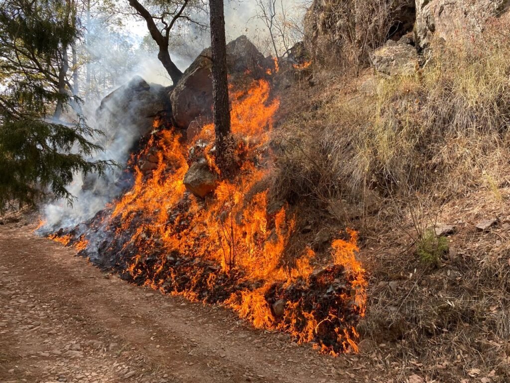 WhatsApp Image 2025-05-19 at 9.23.55 AM (9)