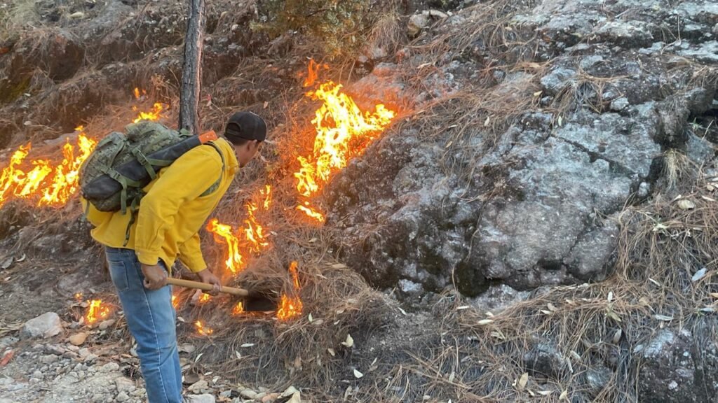 WhatsApp Image 2025-05-19 at 9.29.21 AM