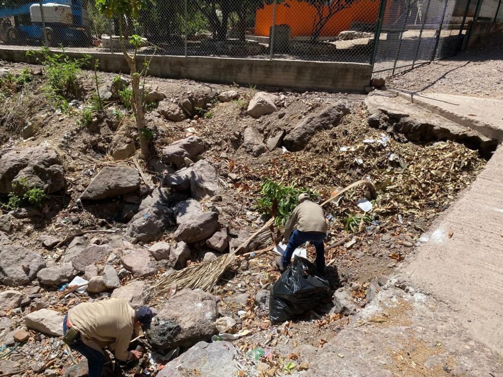 WhatsApp Image 2025-05-19 at 9.29.21 AM (2)