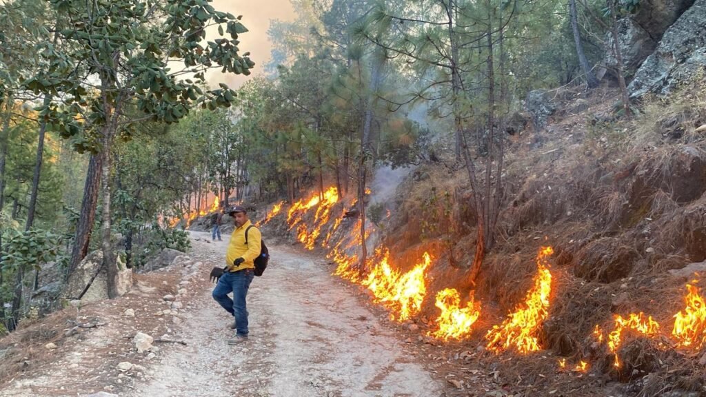 WhatsApp Image 2025-05-19 at 9.29.22 AM (1)