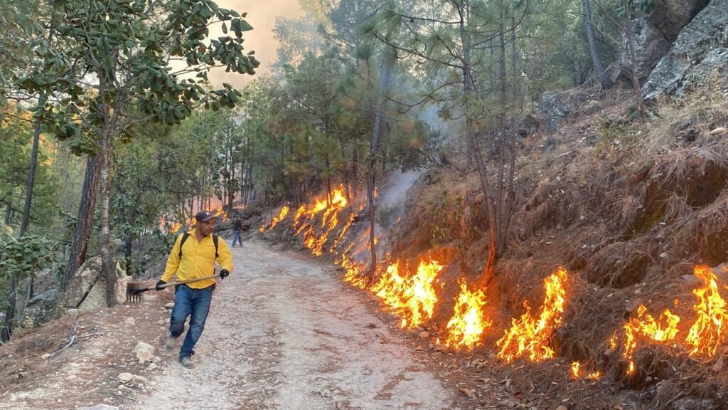 WhatsApp Image 2025-05-19 at 9.29.23 AM