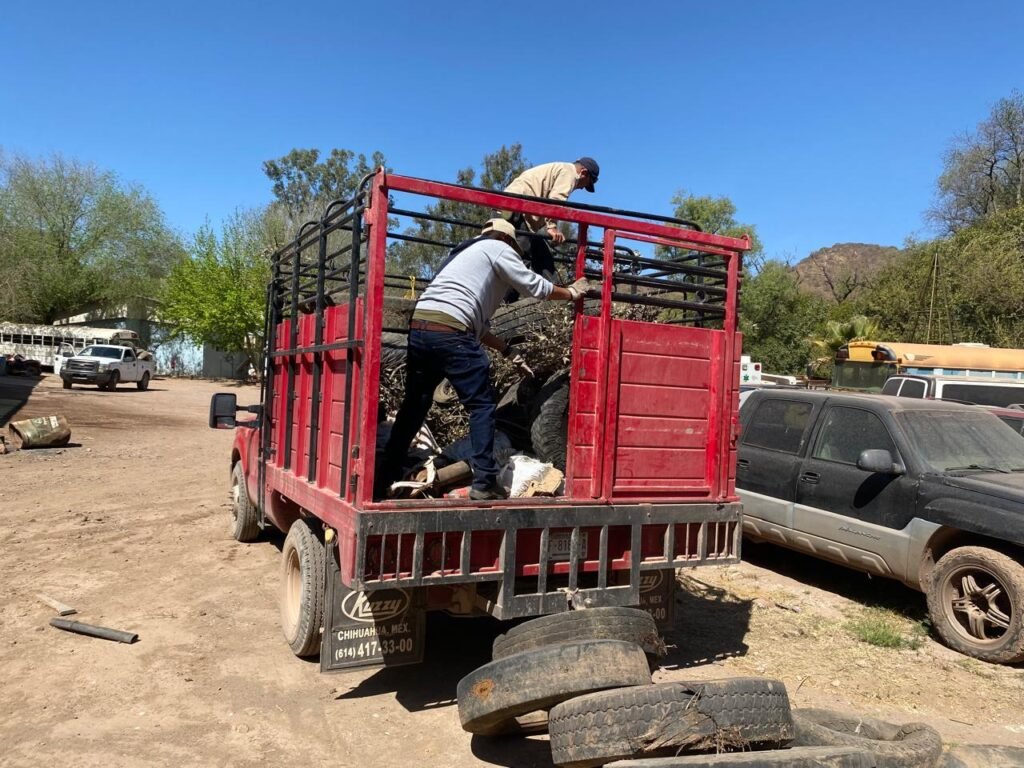 WhatsApp Image 2025-05-19 at 9.29.24 AM (7)