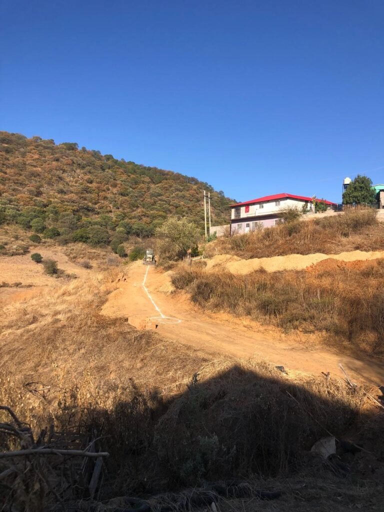 WhatsApp Image 2025-05-20 at 10.06.46 AM