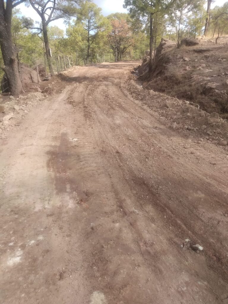 WhatsApp Image 2025-06-27 at 6.35.02 AM