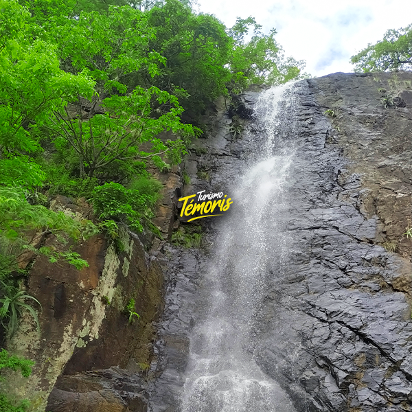 Cascada Sahuaribo